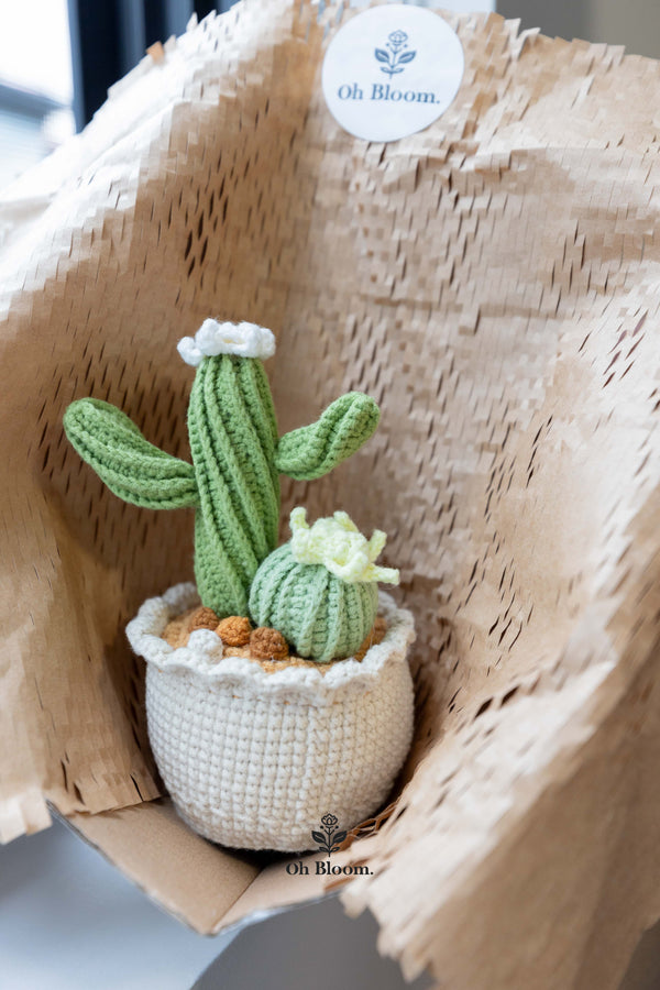 Unique Teacher Gift Ideas: Show Your Appreciation with Thoughtful Tokens