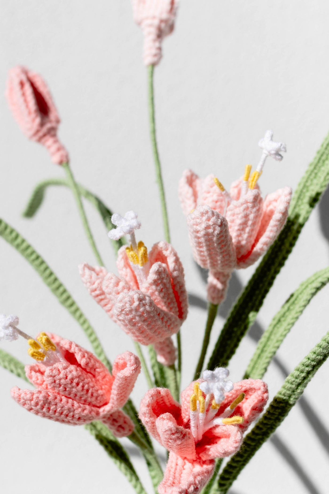 Fairy Lily - The Enchanted Sanctuary