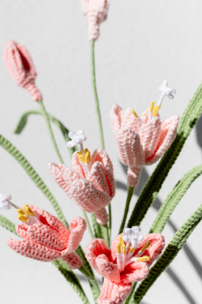 Fairy Lily - The Enchanted Sanctuary