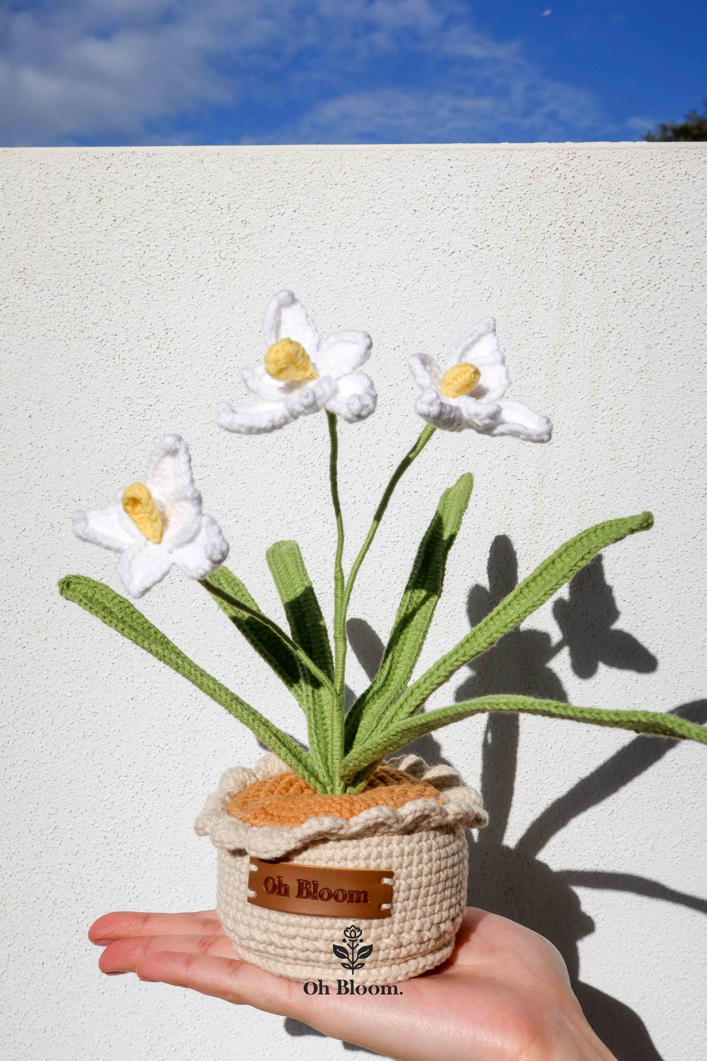 Orchid Pot