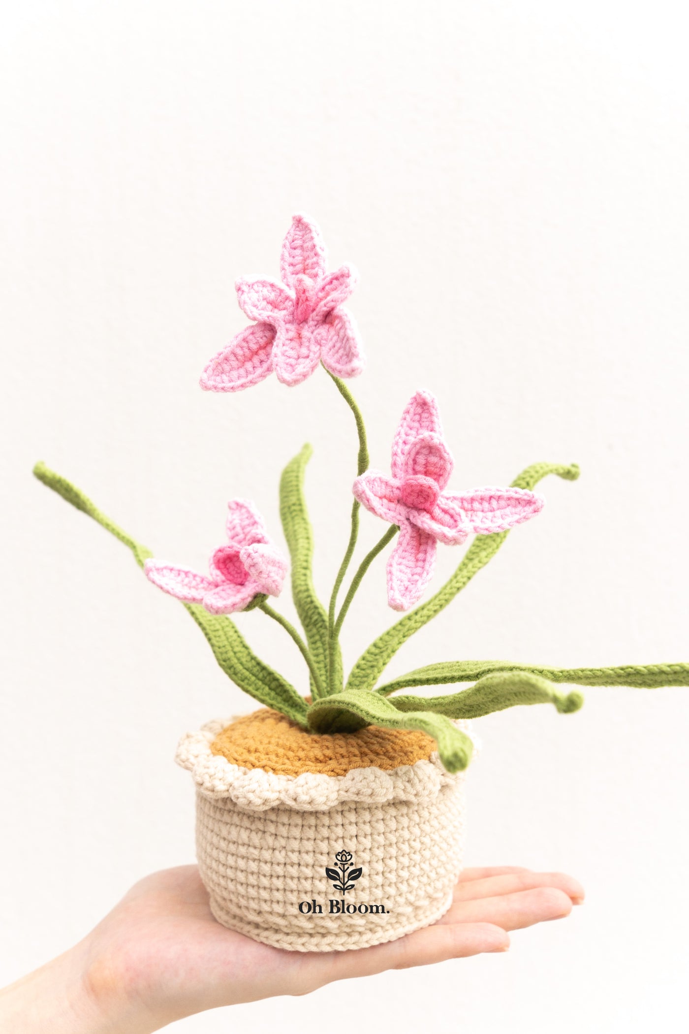 Orchid Pot