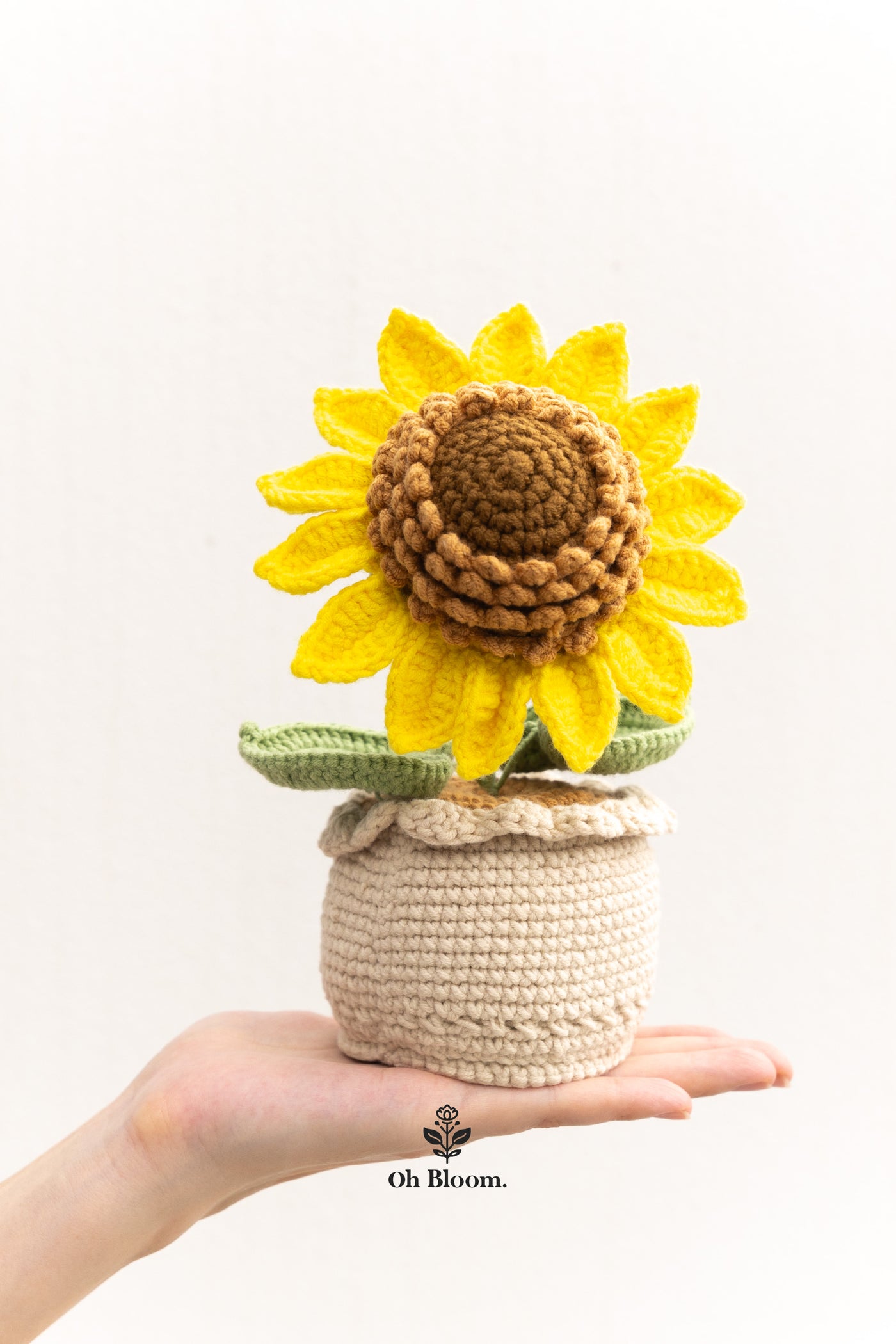 Chunky Sunflower Pot