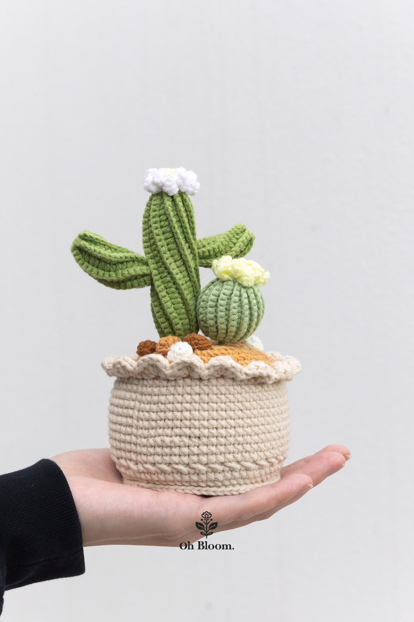 [Pre-Order] Cactus Pot