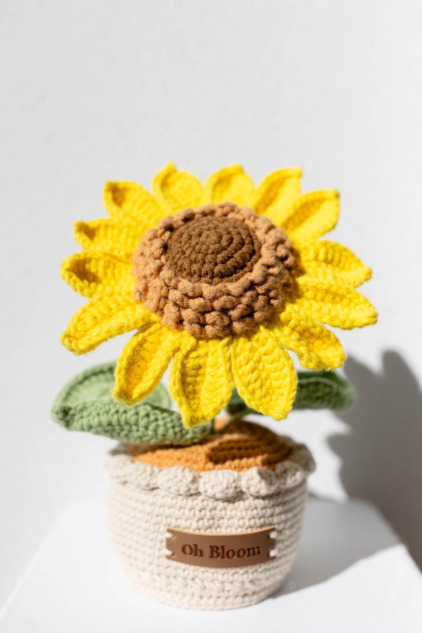 Chunky Sunflower - The Bold Sunshine