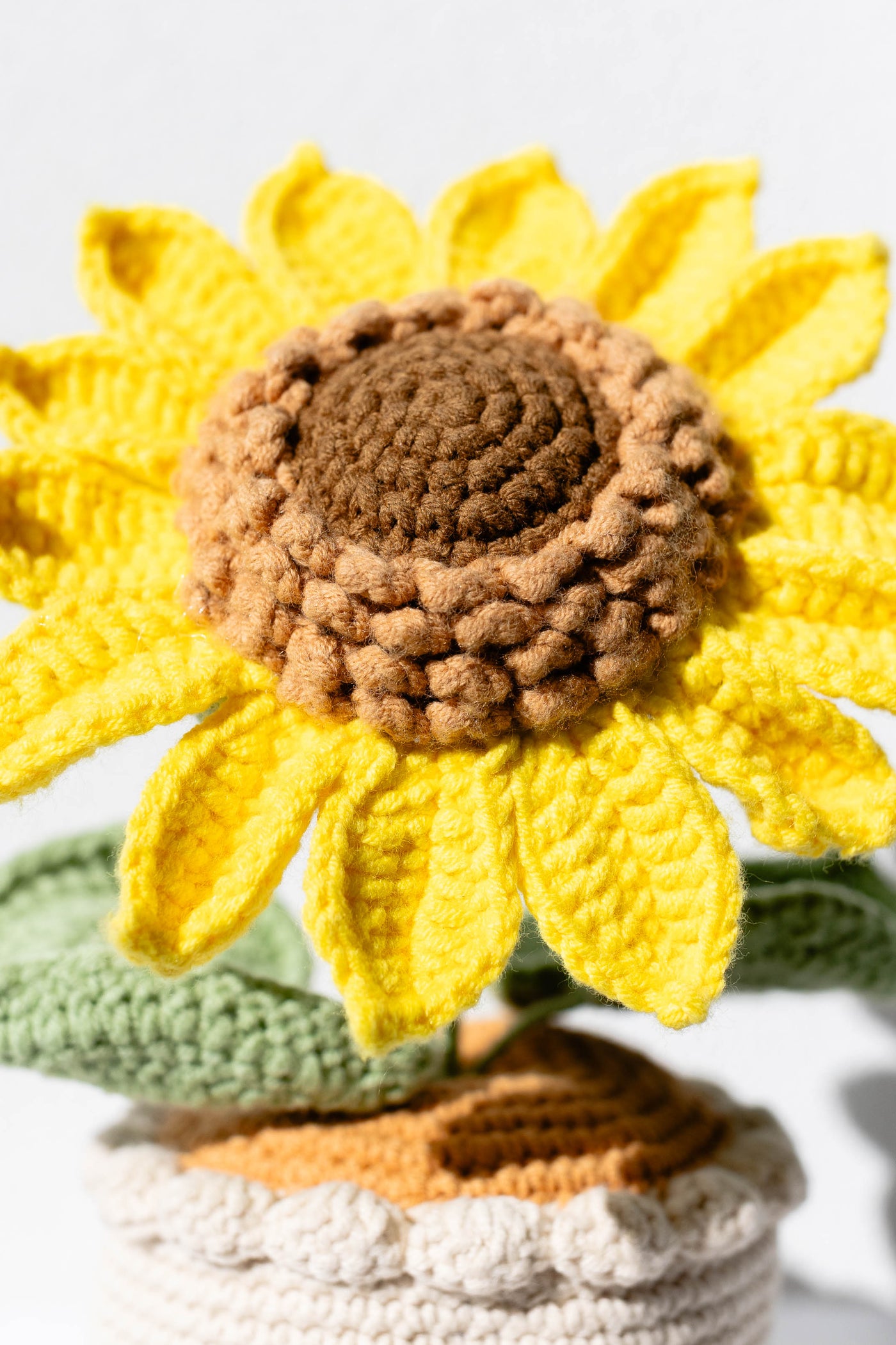 Chunky Sunflower - The Bold Sunshine
