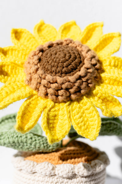 Chunky Sunflower - The Bold Sunshine
