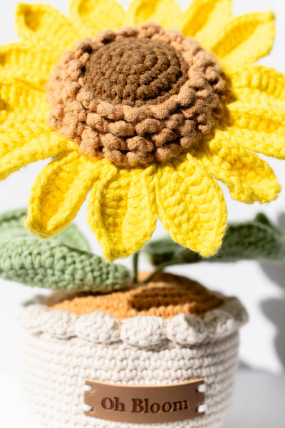 Chunky Sunflower - The Bold Sunshine