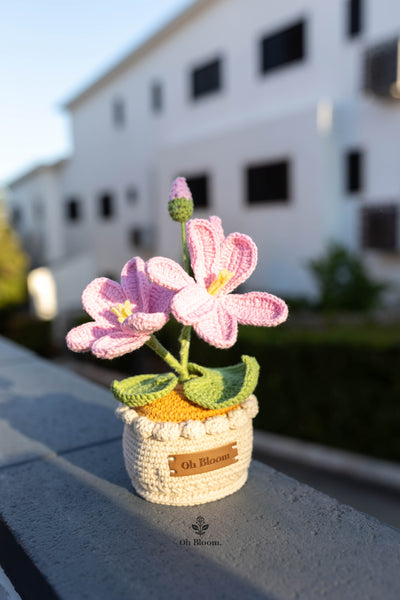 Crochet Tung Flower Pot In sunset
