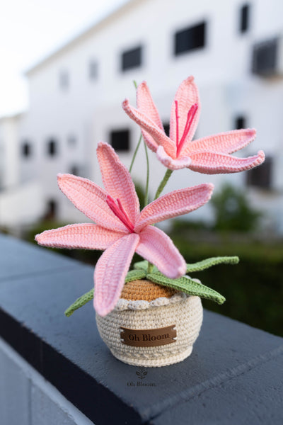 Lily Pot