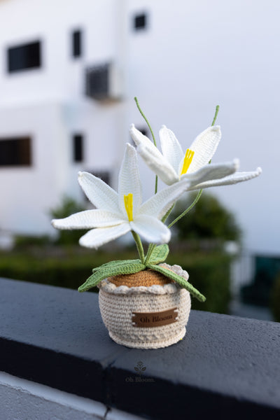 Lily Pot