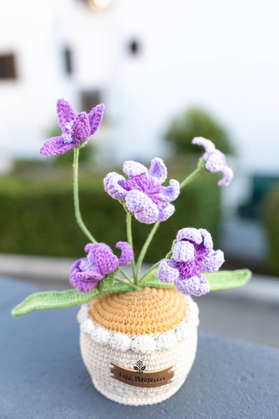 Crochet Rain Lily Pot In sunset
purple