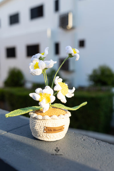 Crochet Rain Lily Pot White In sunset
