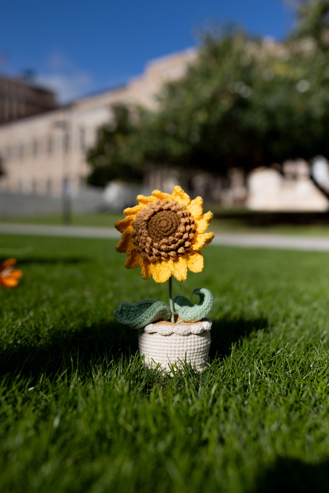 handmade-crochet-sunflower