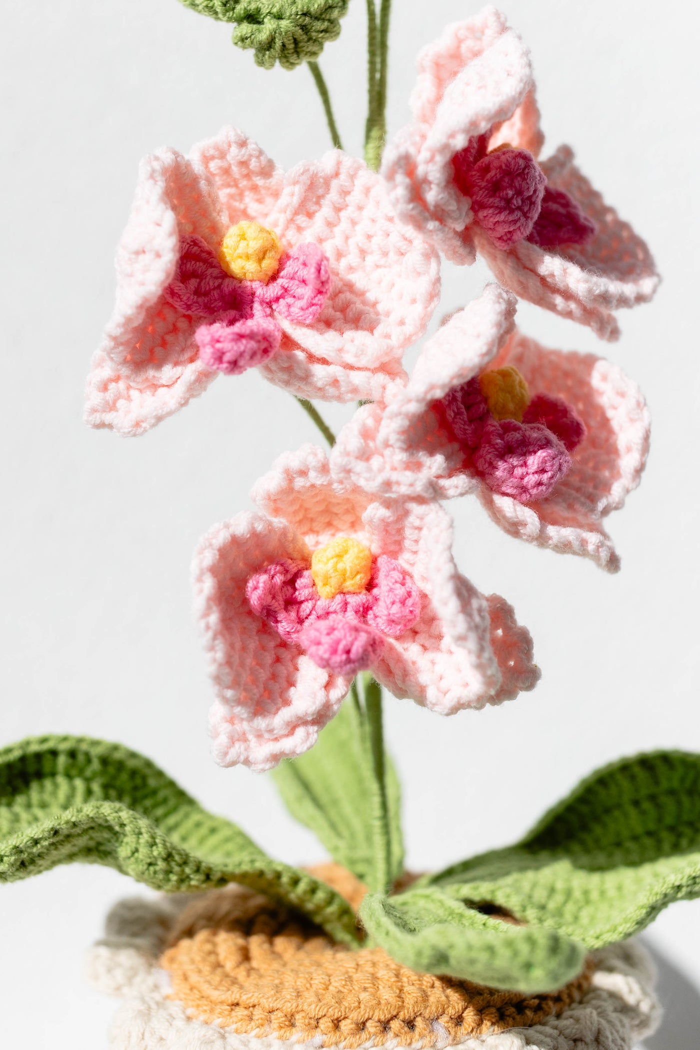 Crocheted orchid flowers with green leaves on a white background