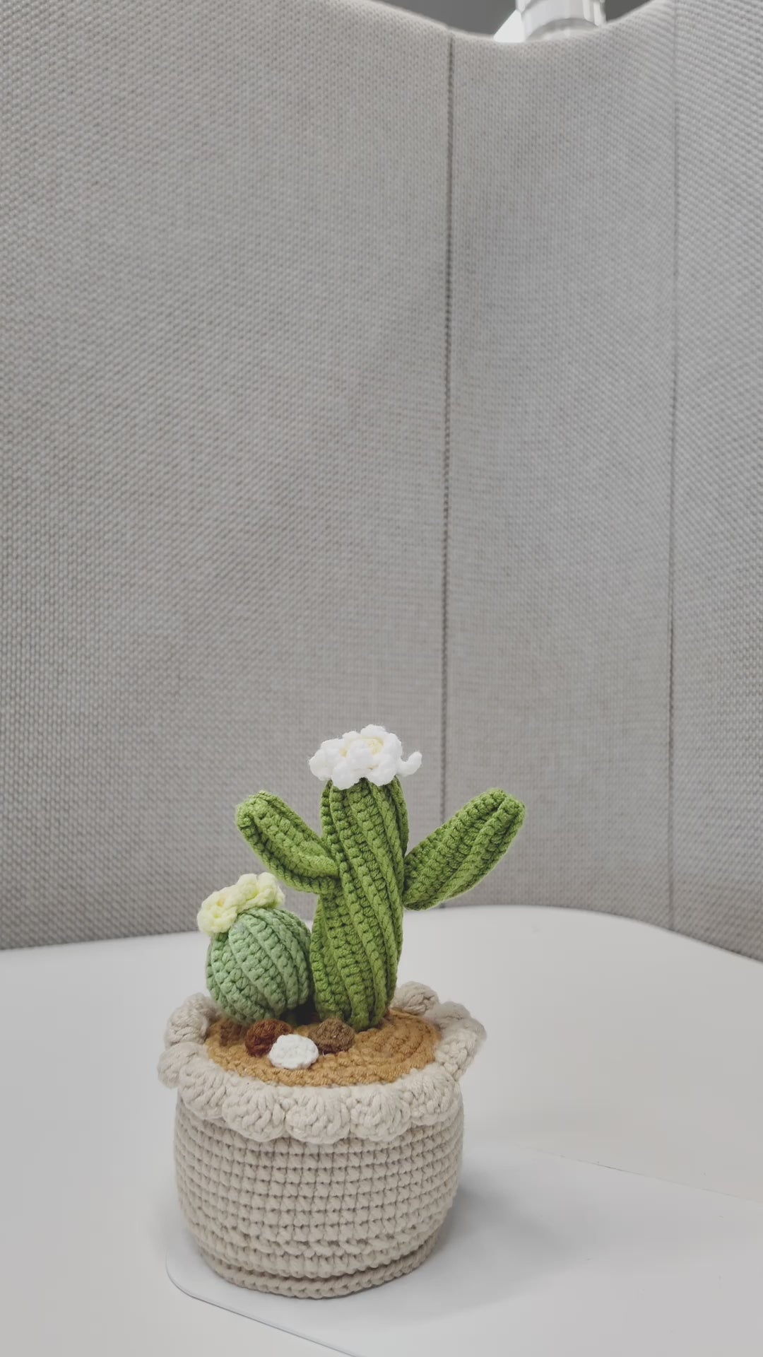 [Pre-Order] Cactus Pot