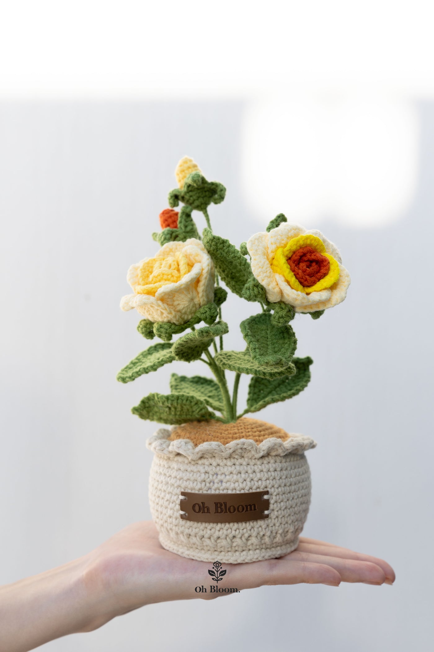 Rose Pot