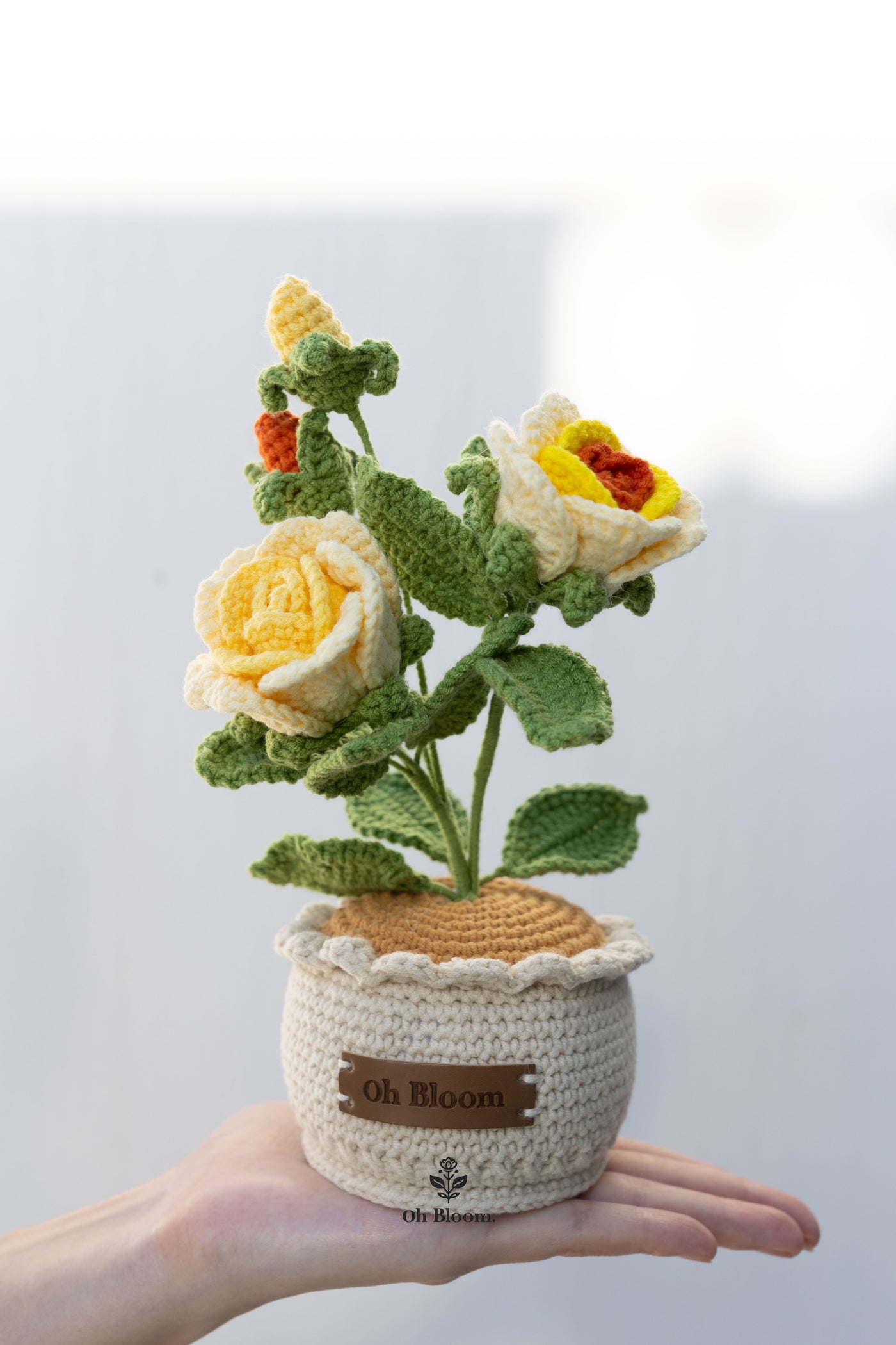 Rose Pot