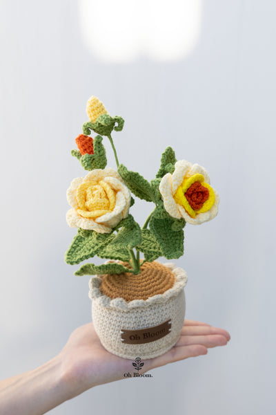 Rose Pot