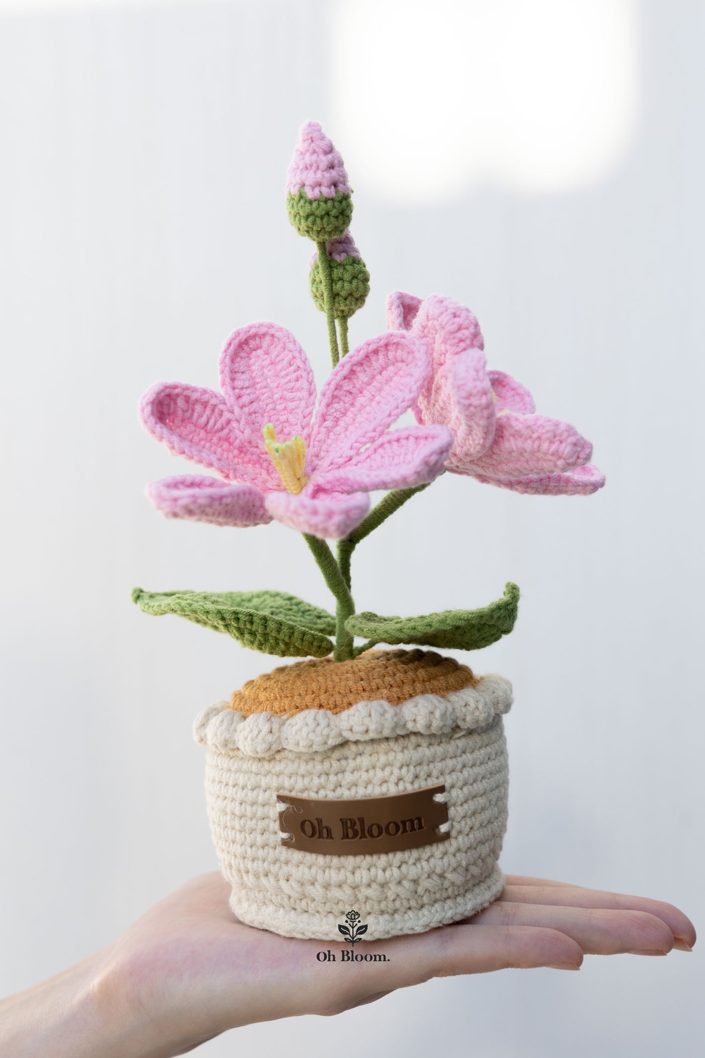 Tung Flower Pot